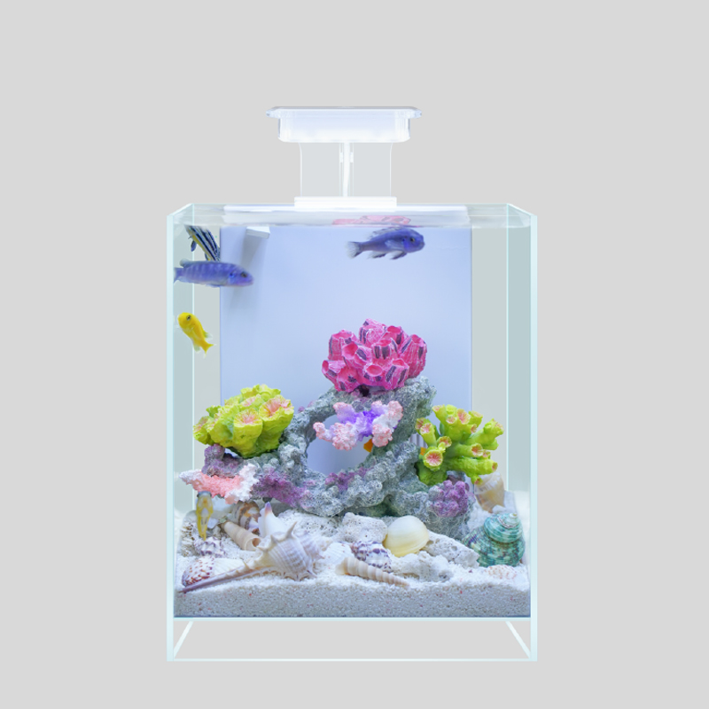 珊瑚缸20