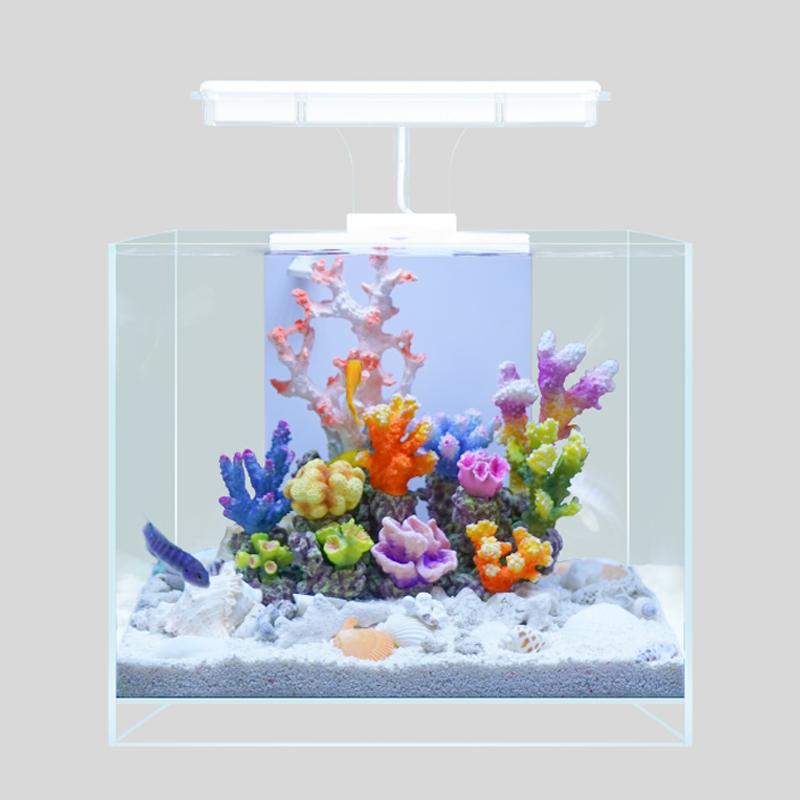 珊瑚缸28