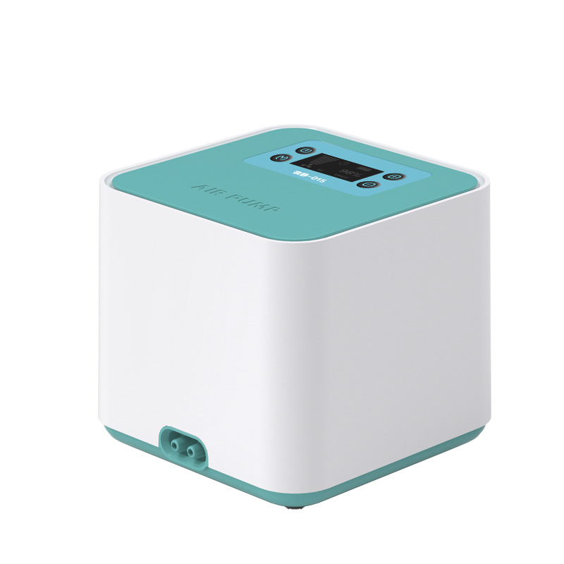 Diaphragm AC/DC oxygen pump